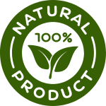 Untitled design (31)